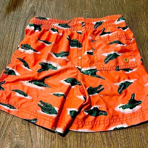 2 Pair Boys Swim Trunks XS and 6-7 Alligator and Bananas fabric - Picture 3 of 8